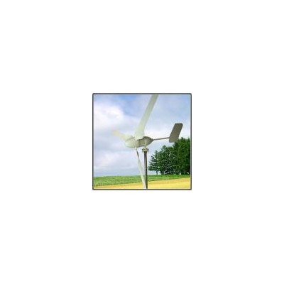 风力发电机(CFW-300W)