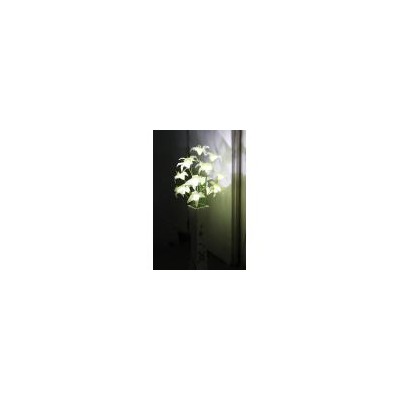 [新品] LED百合花灯(DH-9431)