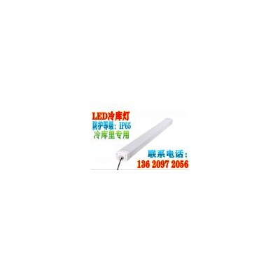 LED防潮灯(MC-001-60W)