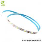 [新品] LED工艺发光装饰软灯带(YC-FN2835-30L-3)