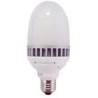 LED球泡灯(LDG70)