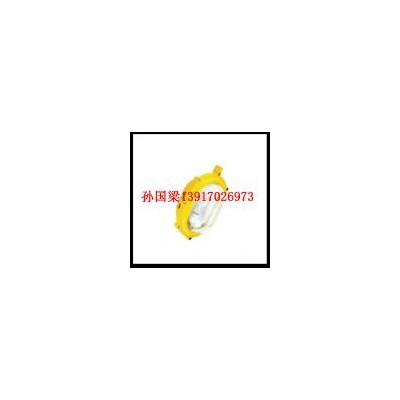 [新品] 内场强光防爆灯(BFC8120)