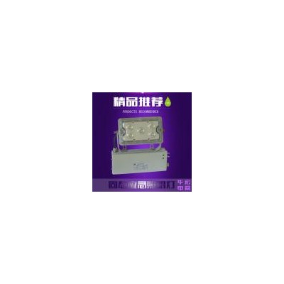 固态应急照明灯应急功率5WLED照明灯(GAD605-J)