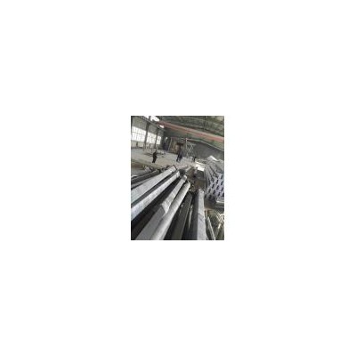 [促销] 6米8米民族LED路灯灯杆(89623)