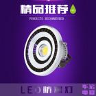LED防爆灯(MF-C40W-HLED)