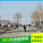 LED路灯(LEDDLD-01)