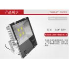 [代理] LED泛光灯200W(L-FGD-200A)