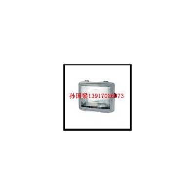 [新品] 防眩通路灯(NSC9720)