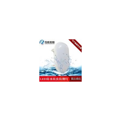 LED智能雷达感应防水壁灯(DH-fsbd-18)