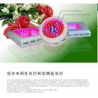 兰花专用LED植物补光灯(SD-50w)