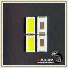 [新品] 5730白光LED发光管55LM0.5W(RA5730TWC)