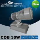 新款COB投光灯30W(HLTGDH01/02)