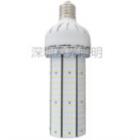 [新品] LED玉米灯(YL-C080-80W)