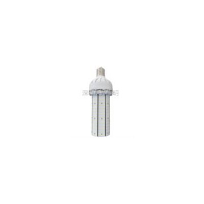 [新品] LED玉米灯(YL-C080-80W)