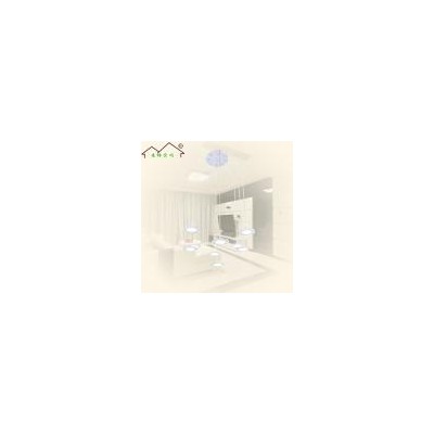 四叶菜LED吊灯(cs-d8029)