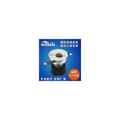 LED洗墙灯(TSL319)