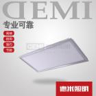 LED面板灯(DM-Q203)