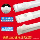 人体感应灯管(JD-GY674443)