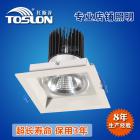 LED格栅射灯(TSL403-10W)