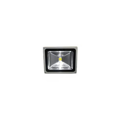 LED泛光灯(AS-FGD-50W)
