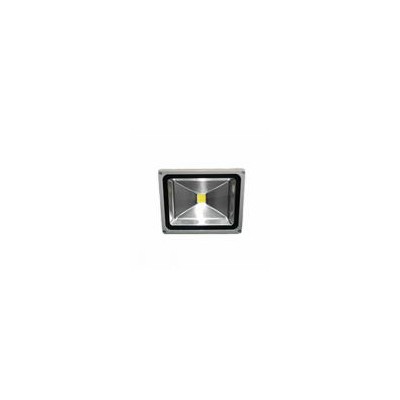 LED泛光灯(AS-FGD-30W)