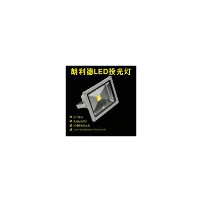 LED投光灯(LLD-SD-1)