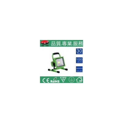 LED泛光灯(CDFG-1-30W275)