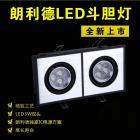 LED斗胆灯(LLD816)