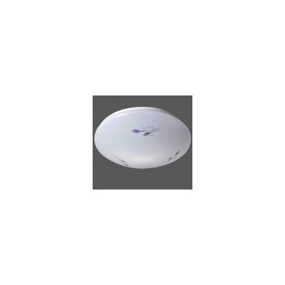 LED吸顶灯(SC-10W-033)