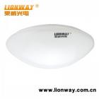 10瓦 LED吸顶灯(LW-LB10W)