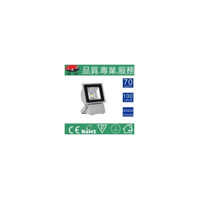 LED泛光灯(FG-1-70W285)