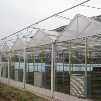 太阳能光伏温室 阳光板温室 农业大棚采光板 光伏温室建设 金阳