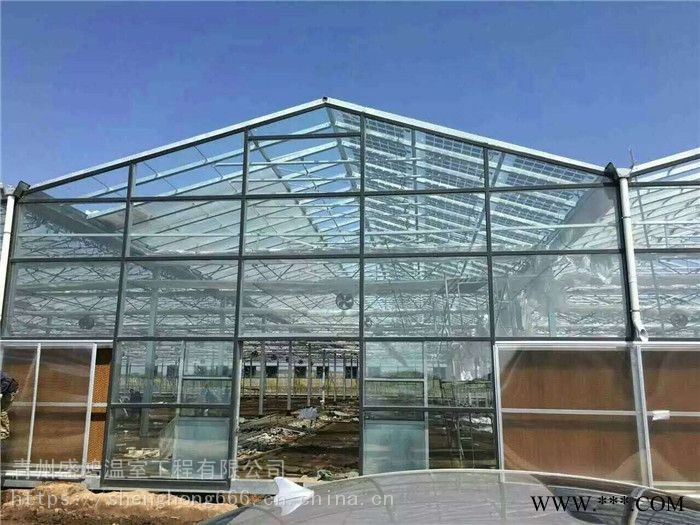 濮阳多功能光伏温室蔬菜种植光伏温室盛鸿厂家直销