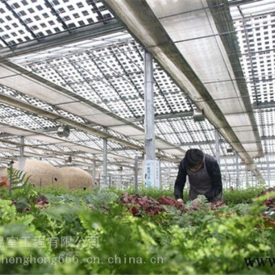 盛鸿多功能光伏温室蔬菜种植光伏温室厂家销售