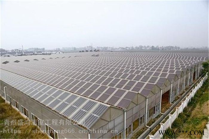 盛鸿多功能光伏温室蔬菜种植光伏温室厂家价格