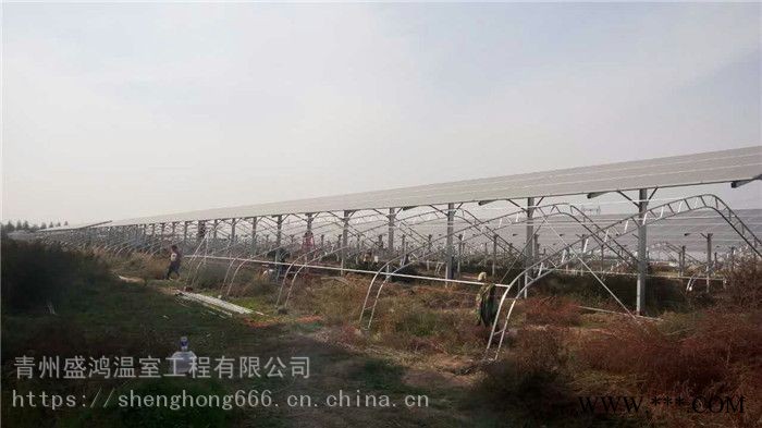 多功能光伏温室蔬菜种植光伏温室采光性好盛鸿批发供应