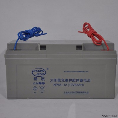 太阳能蓄电池 NP65-12 畅展免维护蓄电池 12V65AH 畅展太阳能胶体电瓶 现货供应 太阳能电瓶