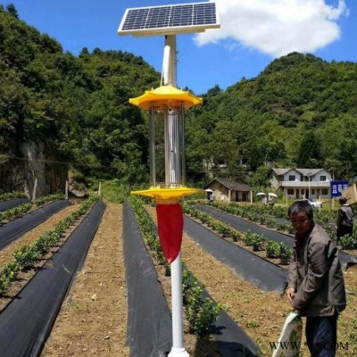 3米4米农用锂电池太阳能杀虫灯  频振式15W太阳能杀虫灯厂家 千度照明