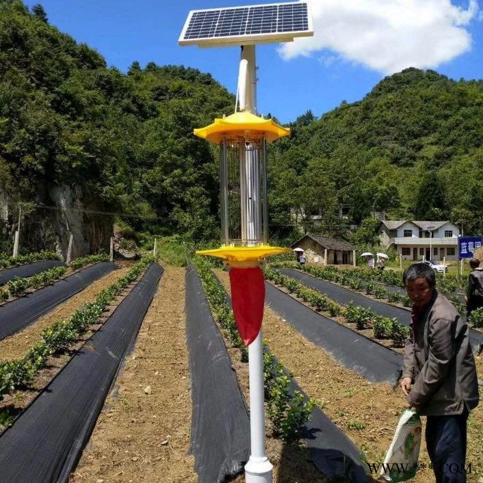 千度照明 果园太阳能杀虫灯 茶园太阳能杀虫灯厂家直销 稻田杀虫灯厂家批发