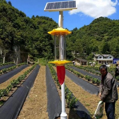 千度照明 果园太阳能杀虫灯 茶园太阳能杀虫灯厂家直销 稻田杀虫灯厂家批发