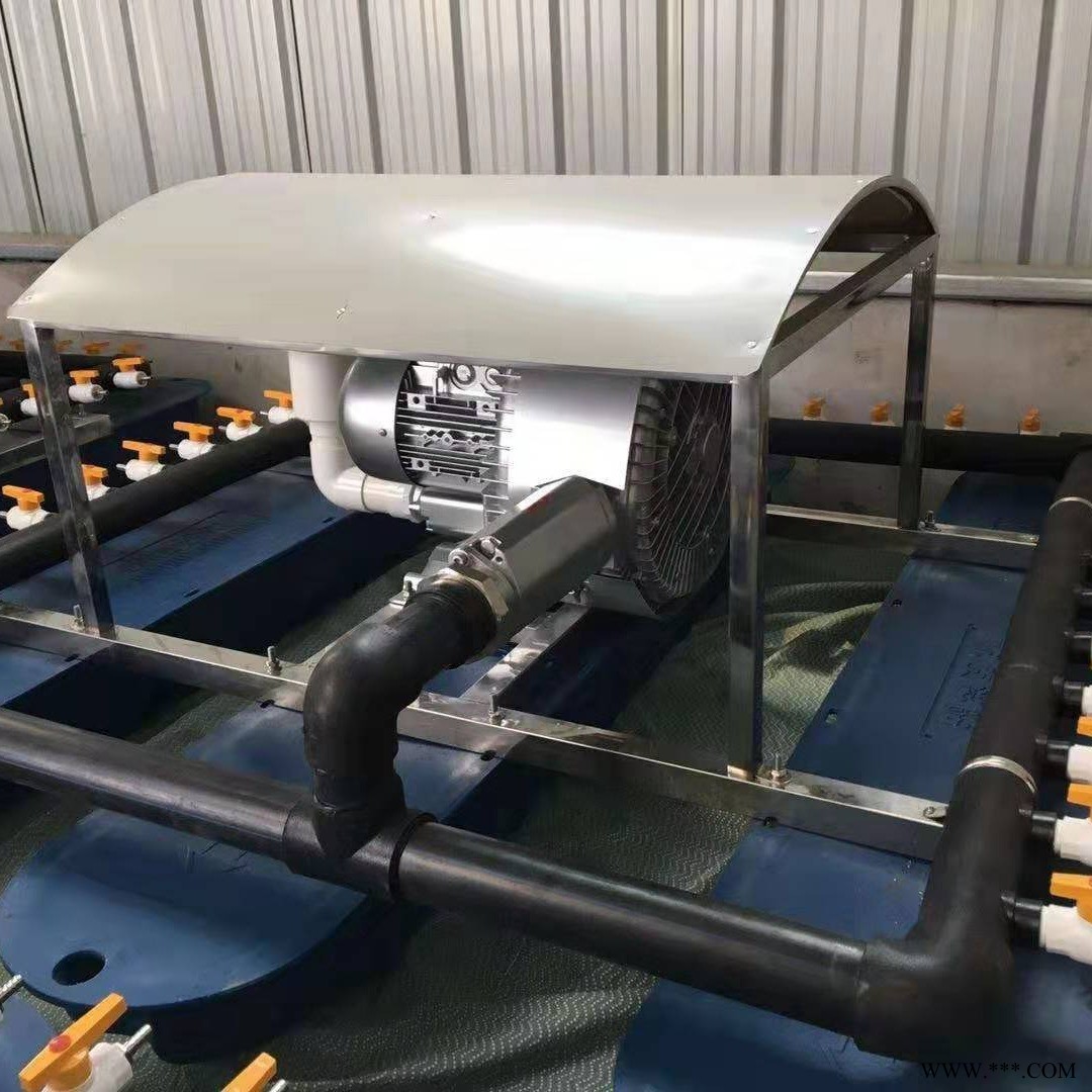 河道治理潜水推流曝气机 太阳能曝气机 微孔曝气装置生产厂家蓝污