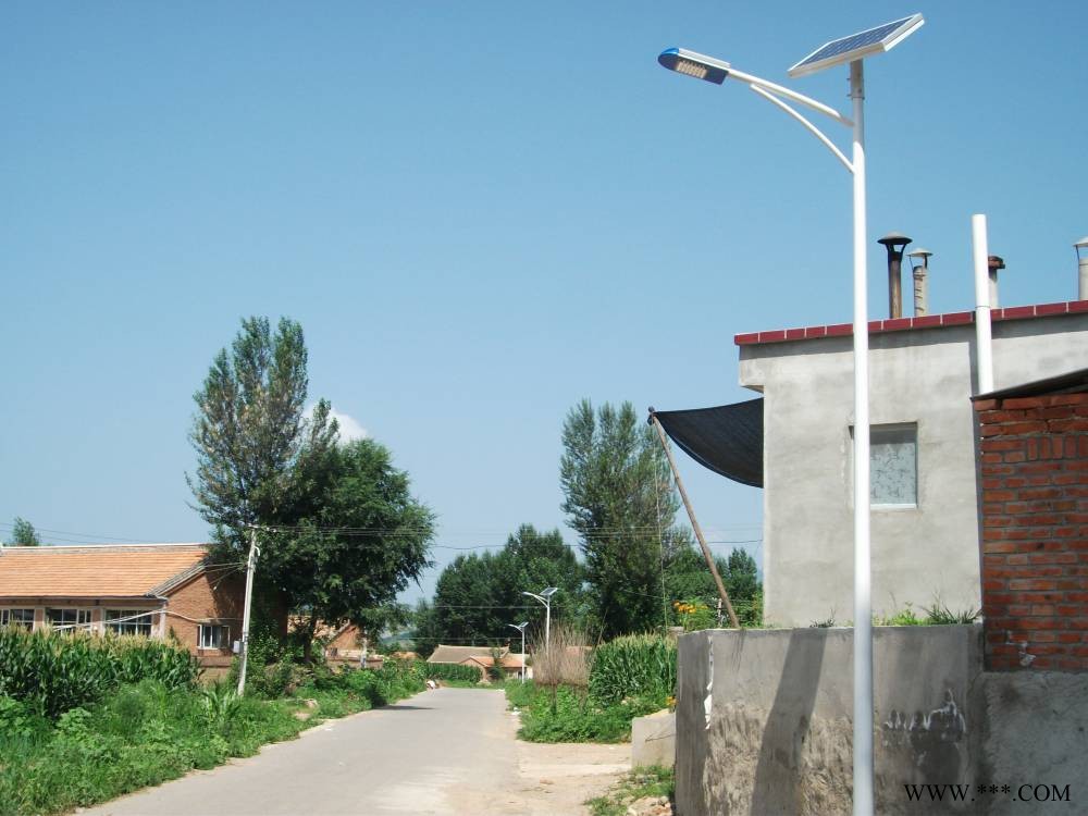 四川太阳能LED路灯7米30W 太阳能路灯 太阳能庭院灯 新炎光