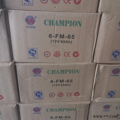 UPS蓄电池NP12-65 志成 蓄电池12V65AH太阳能风能详细参数