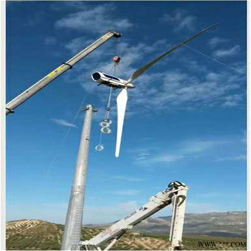 山东德州蓝润风能设备风力发电机风能转换率高发电稳定 路灯太阳能电灯风力发电机厂家