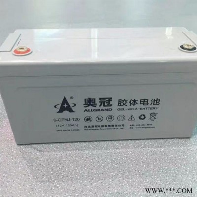奥冠胶体电池 6-GFMJ-120 奥冠免维护固定型蓄电池12V120AH 直流屏 UPS 太阳能12V蓄电池等专用电瓶