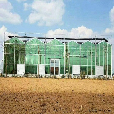 纹络温室工程价格 光伏太阳能农业大棚 金纳