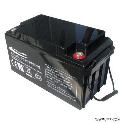 储能铅酸蓄电池12V65ah基站备用电源 太阳能系天龙王TL12650厂家定制 12v大容量