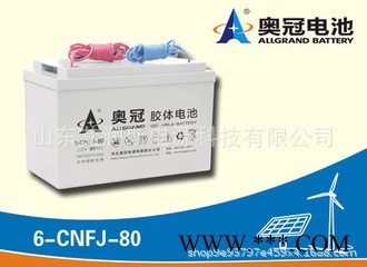 奥冠胶体太阳能蓄电池6-CNFJ-8012V80AH路灯引线蓄电池
