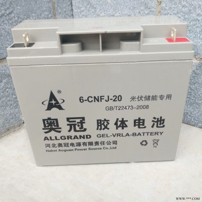 奥冠胶体蓄电池6-CNFJ-20 奥冠电池12V20AH 适用于太阳能路灯 太阳能光伏系统 风能储能系统 通讯基站 消防