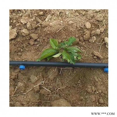 果园滴灌系统，赣州柑橘果园滴灌系统安装，果树滴灌系统设计规划丰盛源